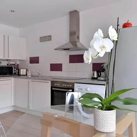 Petite Venise Saint Pierre 2 Pieces 3 Etoiles Classement Tourisme アパート *