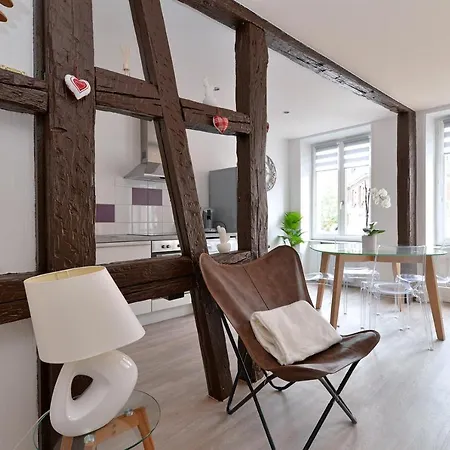 Petite Venise Saint Pierre 2 Pieces 3 Etoiles Classement Tourisme アパート コルマール